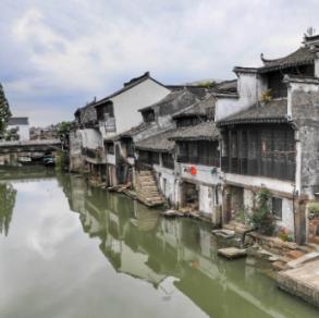 动物帮帮忙保卫家园